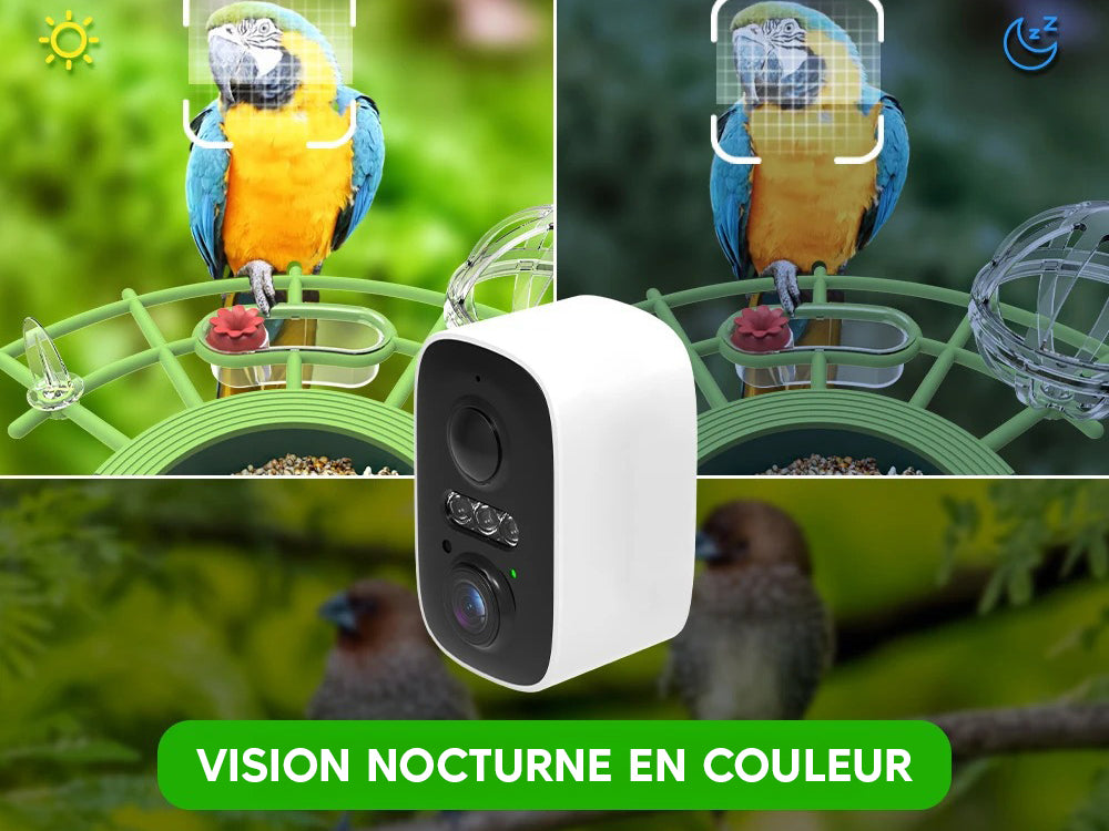 Mangeoire solaire pour oiseaux avec caméra et IA - Modèle Orni - Image 2