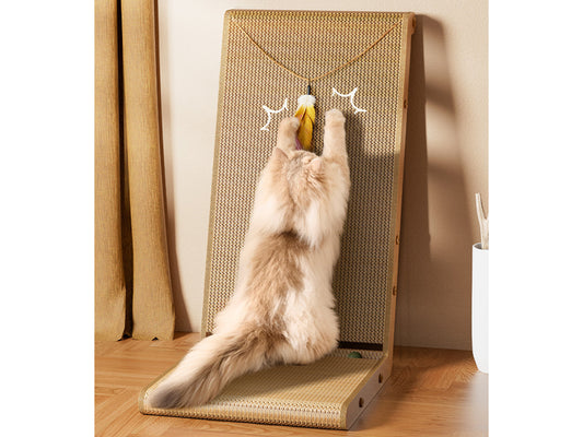 Griffoir ergonomique 61 cm - Modèle Scratchy