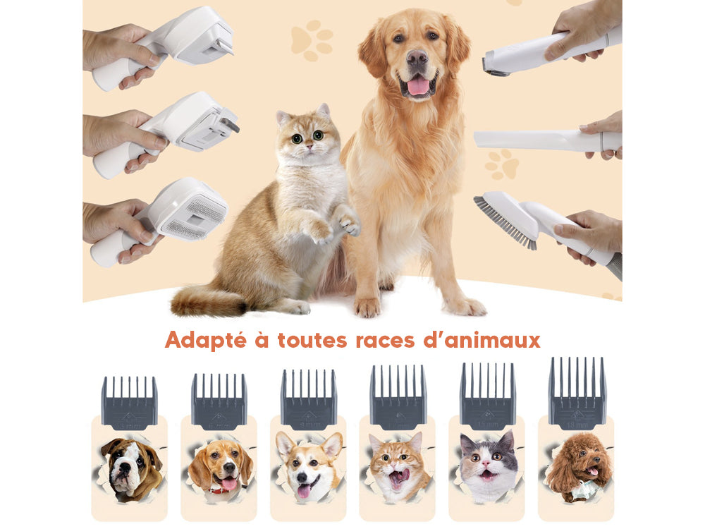 Kit de toilettage complet pour chats et chiens - Modèle Procare - Image 2