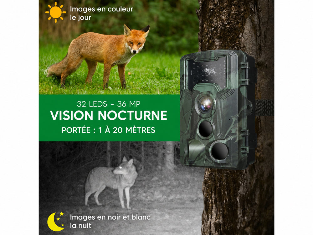 Caméra IP66 2,7K 36 MP infrarouge - Image 3