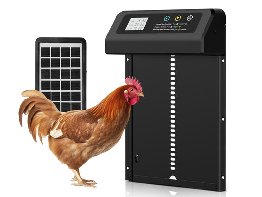 Porte automatique poulailler solaire avec télécommande