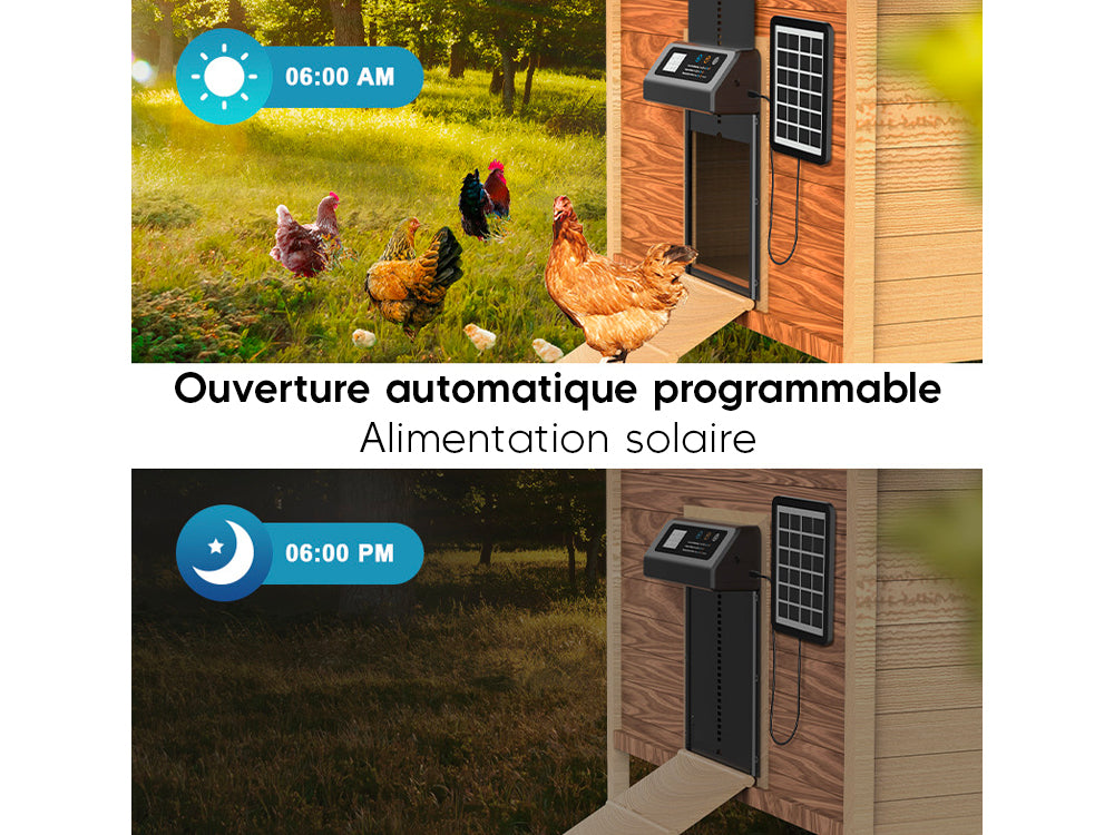 Porte automatique poulailler solaire avec télécommande - Image 2